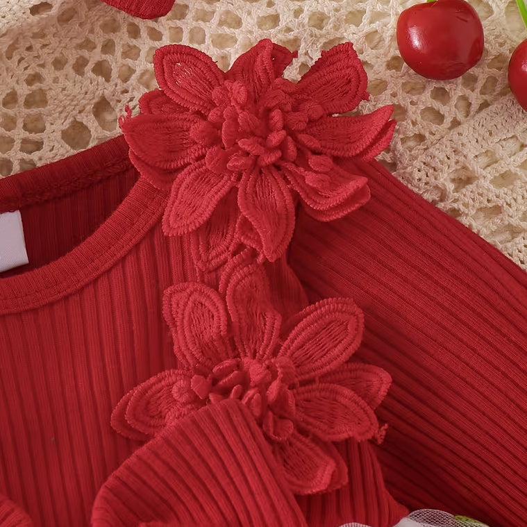 2PCS Baby Girl 3D Floral and Cherry Embroidered Long Sleeve Mesh Dress
